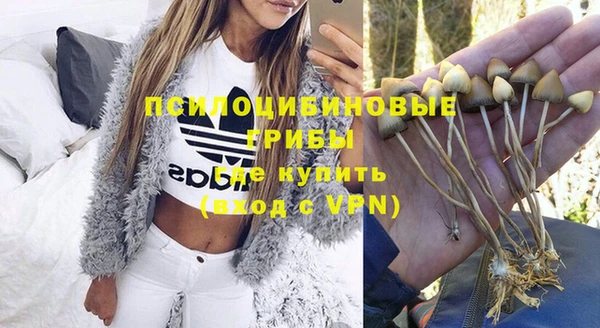 скорость Баксан