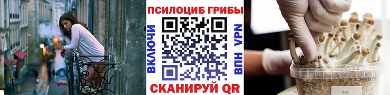 Псилоцибиновые грибы мицелий  Купить где  Нижнеудинск 